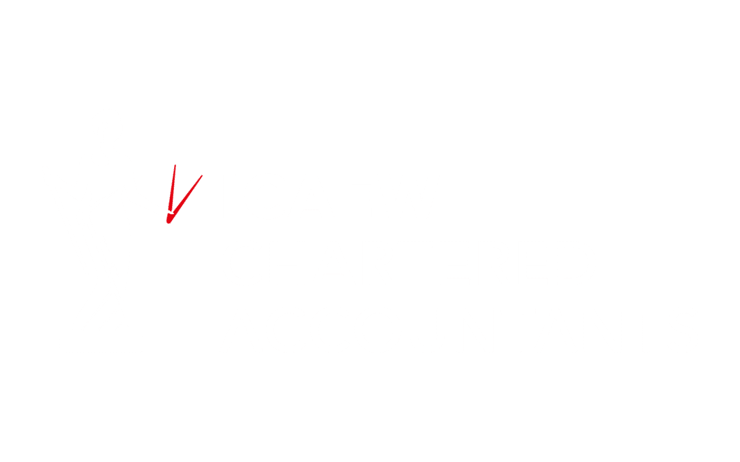 The Benefits of Using a Chartered Accountant for Your Business